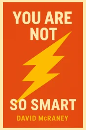 You Are Not So Smart cover