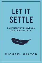 Let It Settle cover