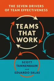 Teams That Work cover