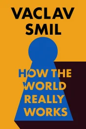 How the World Really Works cover