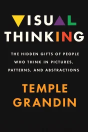Visual Thinking cover