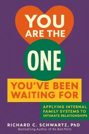 You Are the One You've Been Waiting For cover